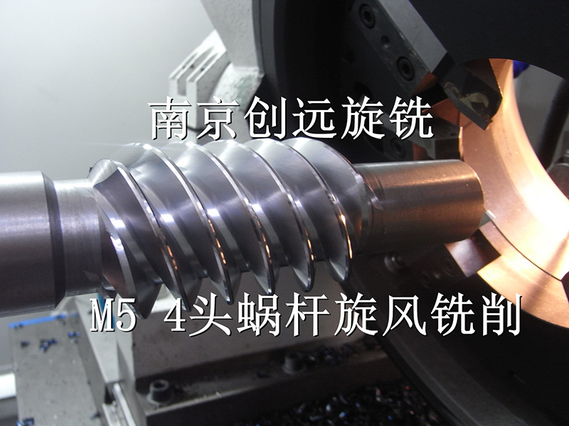 多頭減速機(jī)蝸桿旋風(fēng)銑床